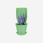 Flower Pot