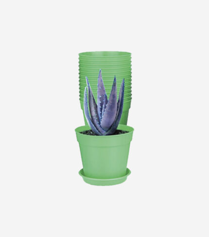 Flower Pot